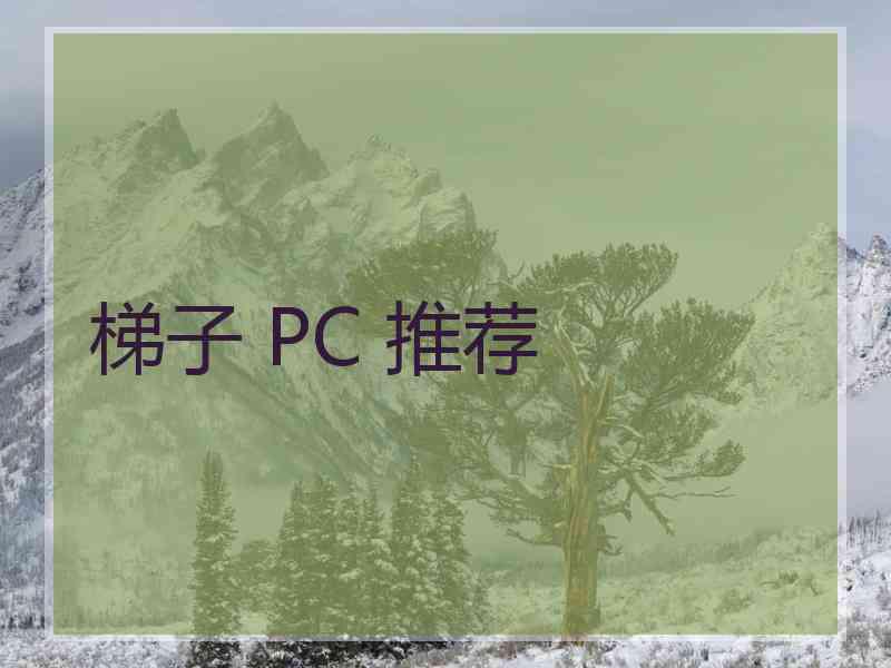 梯子 PC 推荐