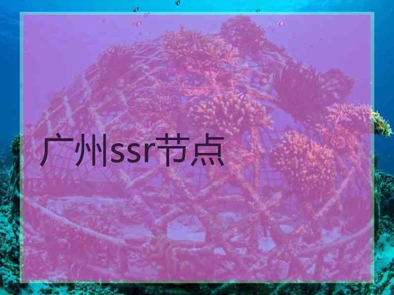 广州ssr节点