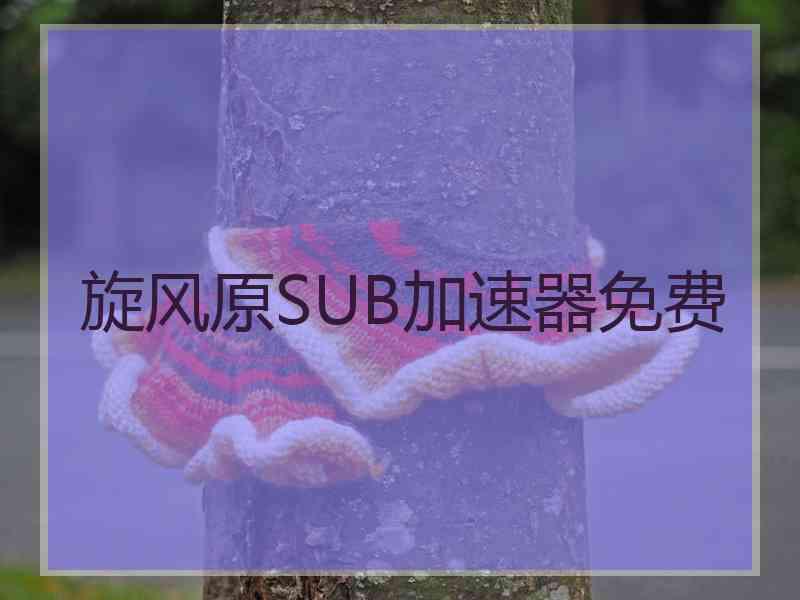 旋风原SUB加速器免费