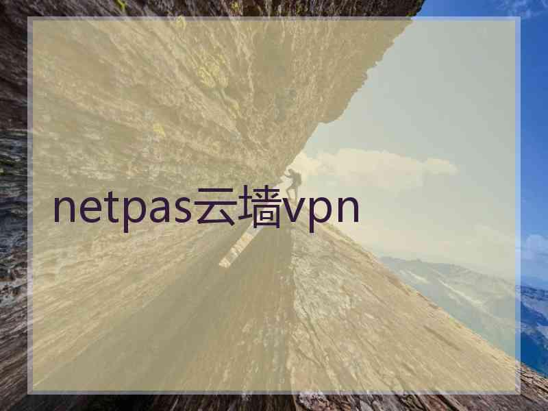 netpas云墙vpn