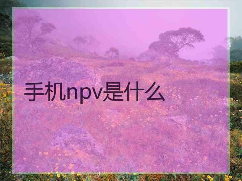 手机npv是什么