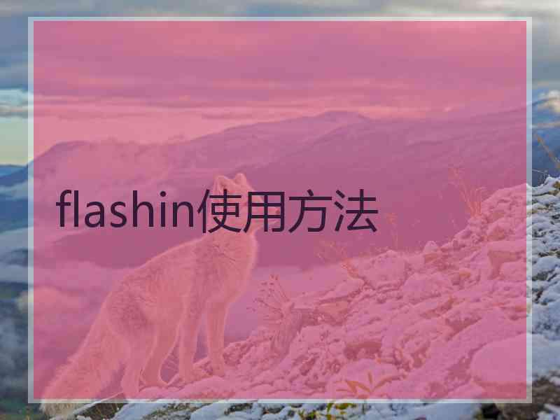 flashin使用方法