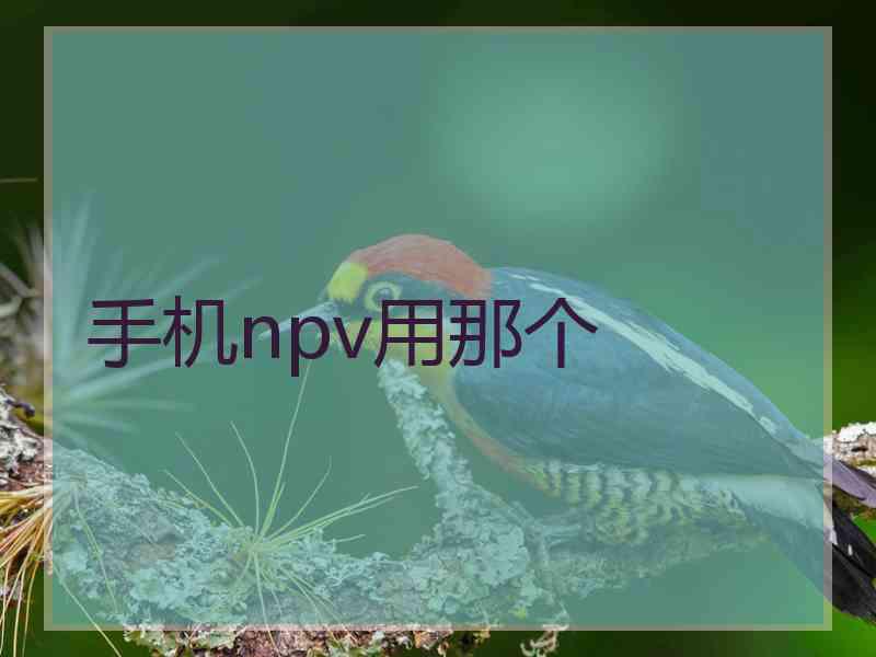 手机npv用那个