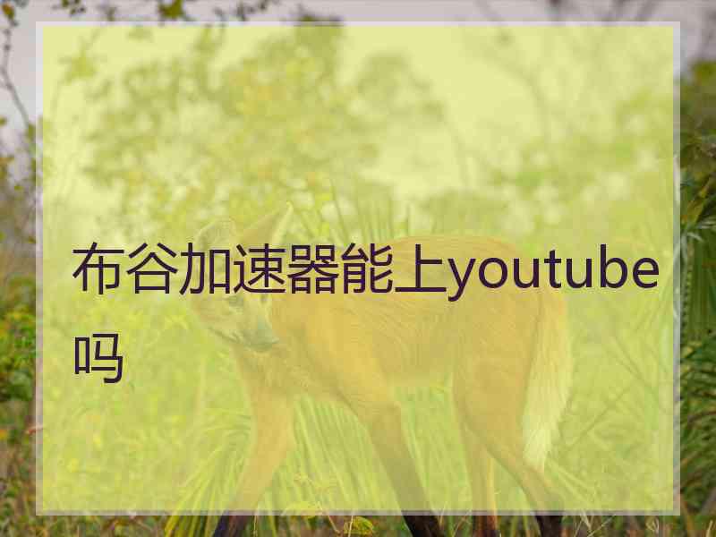 布谷加速器能上youtube吗