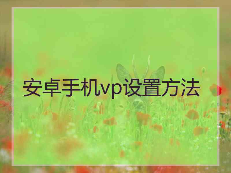 安卓手机vp设置方法